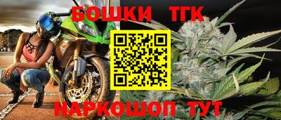 СК Гагарин