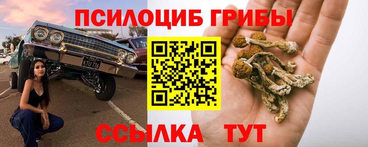 Галлюциногенные грибы Magic Shrooms Лесозаводск